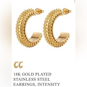 18K GOLD PLATED EARRINGS !